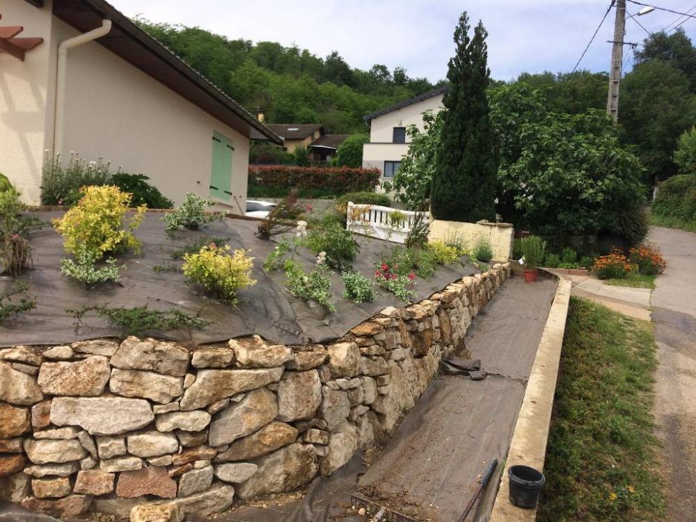 petit_00104300_171743456.jpg